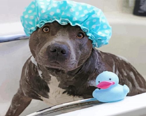 Staffordshire Bathing Paint By Number