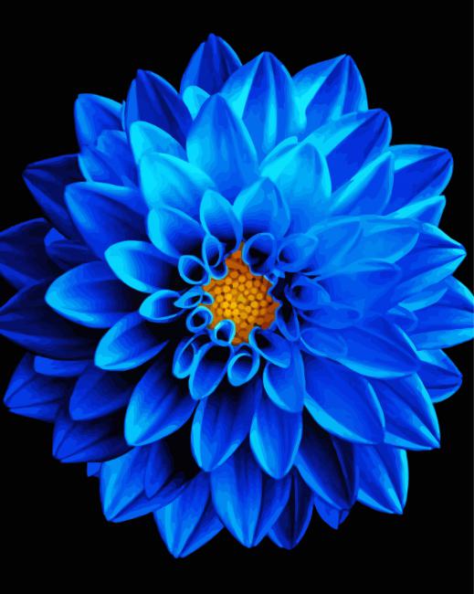 Blue Dahlia Paint By Number