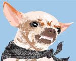 Chihuahua Dog Paint By Number