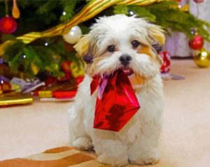 Christmas White Schnauzer Paint By Number