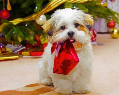 Christmas White Schnauzer Paint By Number