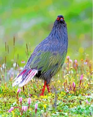 Blood Pheasant Paint By Number