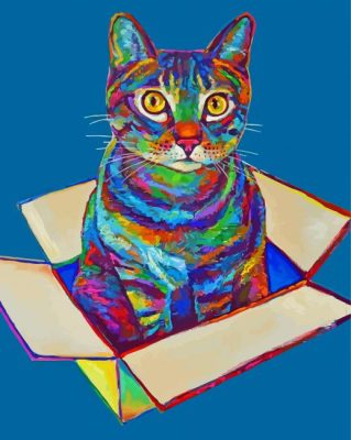 Colorful Cat In A Box Paint By Number