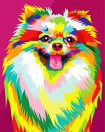 Colorful Pomeranian Paint By Number