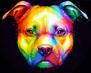 Colorful Pitbull Head paint by numbers