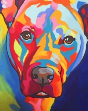 Colorful Pitbull Dog paint by numbers