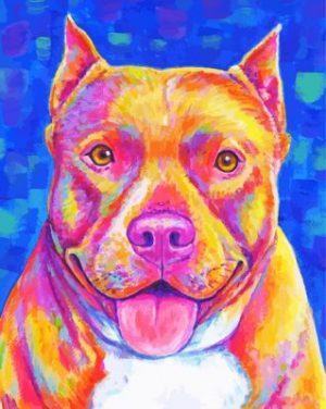 Colorful Pitbull paint by numbers