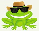 Cool Frog With Sunglasses Paint By Numbers