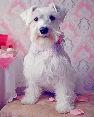 White Miniature Schnauzer Dog Paint By Number