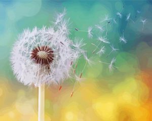 Dandelion Clocks Paint By Number