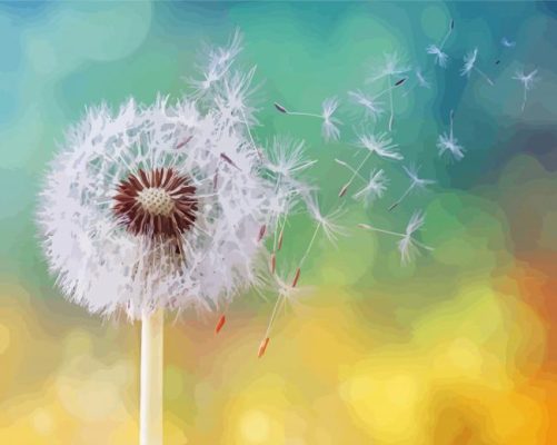 Dandelion Clocks Paint By Number