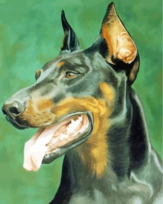 Doberman Dog Head Paint By Number