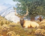 Elk In Forest Paint By Number