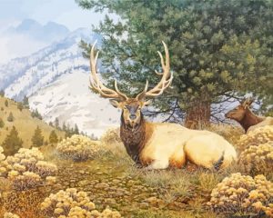Elk In Forest Paint By Number