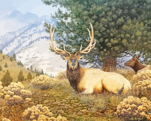 Elk In Forest Paint By Number