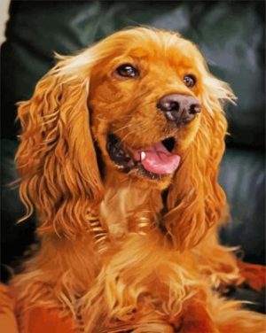 English Cocker Spaniel Puppy Paint By Numbers