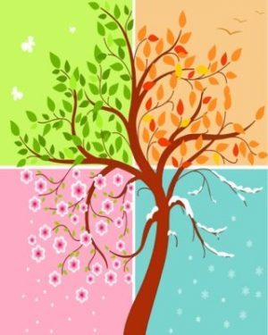 Four Season Tree paint By Numbers