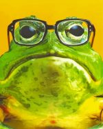Frog In Glasses Paint By Numbers