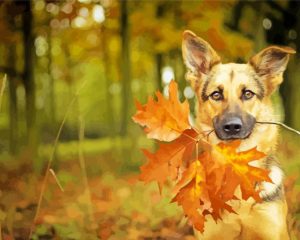 German Shepherd Puppy Paint By Number