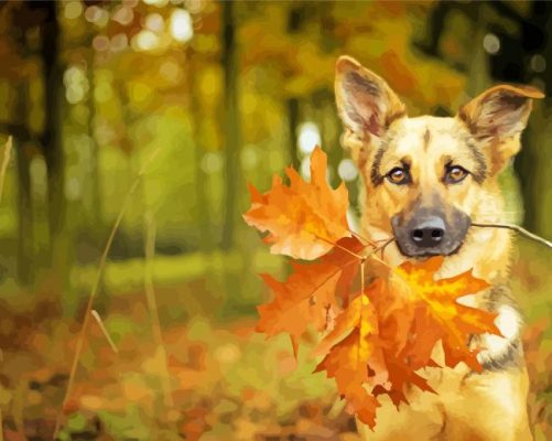 German Shepherd Puppy Paint By Number