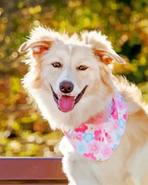 Cute Golden Border Collie Paint By Number