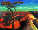 Grand Canyon Art Paint By Number