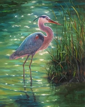 Great Blue Heron In A Swamp Paint By Number