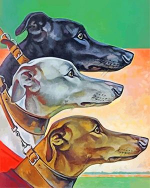 Greyhounds Heads Paint By Number