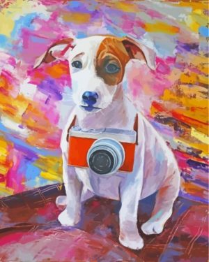 Photographer Jack Russell Paint By Number