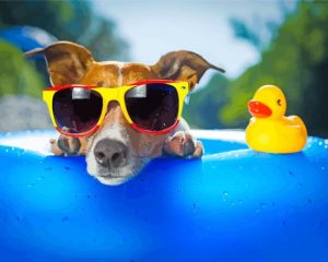 Jack Terrier Paint By Number