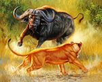 Lion and Bull In The Jungle Paint By Number