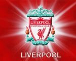 Liverpool FC Logo Paint By Numbers