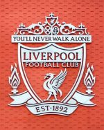 Liverpool Crest Main Stand Paint By Numbers