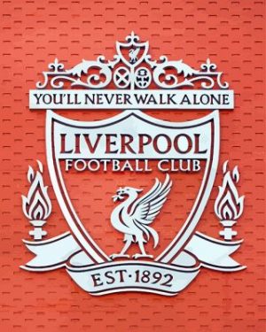 Liverpool Crest Main Stand Paint By Numbers