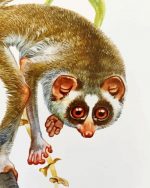 Lorisidae Art Paint By Number
