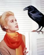 Melanie Daniels And Crow Paint By Number