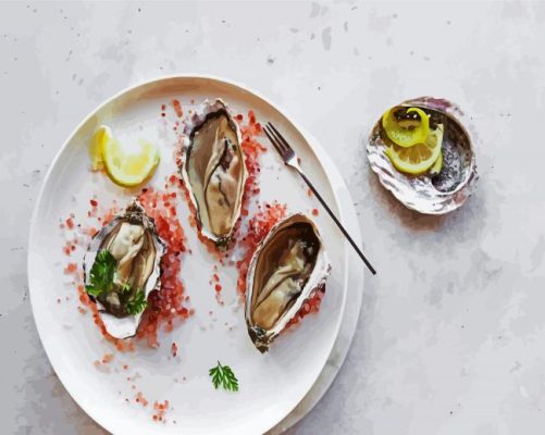 Oyster Meal Paint By Numbers