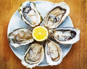 Oyster Seafood paint by numbers