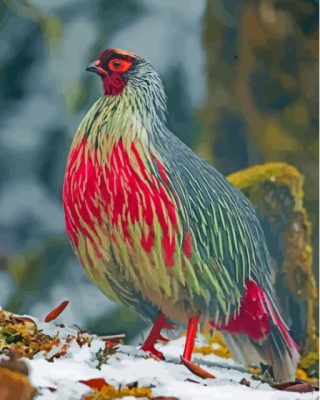 Red Blood Pheasant Paint By Number