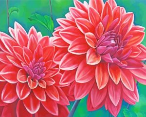 Red Blooming Dahlias Paint By Number