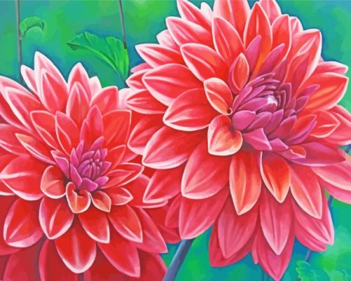 Red Blooming Dahlias Paint By Number