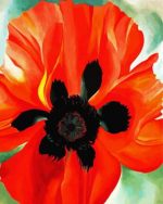 Red Poppy Okeeffe Paint By Numbers