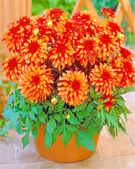 Red Orange Dahlia Pot Paint By Number