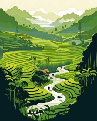 Rice Terraces Paint By Number