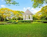 Singapore Botanic Gardens Paint By Number