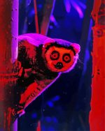 Slow Loris Animal Paint By Number