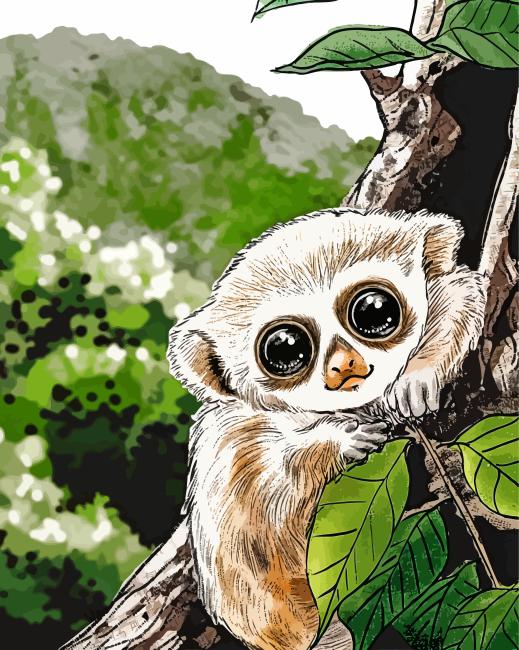 Slow Lorisidae Animal Paint By Number