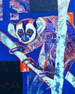 Lorisidae Animal Paint By Number