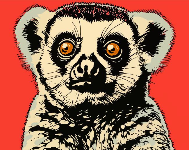 Aesthetic Slow Loris Paint By Number