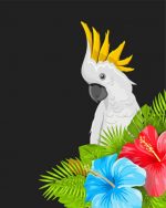 Red Tailed Black Cockatoo Paint By Number